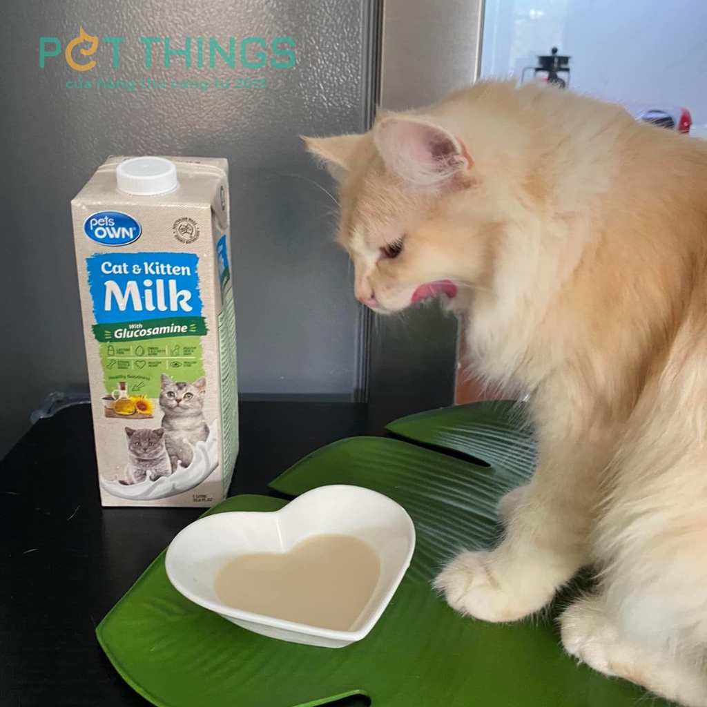 Sữa pha sẵn cho chó mèo Pets Own bổ sung Glucosamine hộp 1 Lít