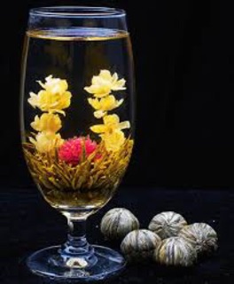 Trà hoa bách nguyệt