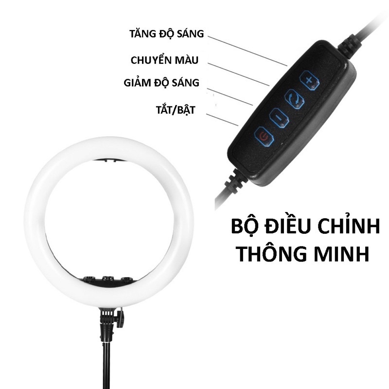 Đèn Livestream Full Box Loại 3 Size 26cm 30cm 33cm Hỗ Trợ Chụp Ảnh Make Up Bán Hàng Quay TIKTOK