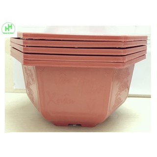 5 Chậu Nhựa Lục Giác Trồng Hoa, Cây Cảnh Bình Thuận Bonsai 350x210