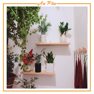 Kệ gỗ 2 thanh ngang đen 40*15cm