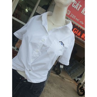 Đơn diễm ng
