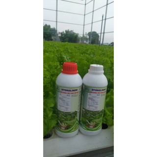 dinh dưỡng trồng rau cặp 2lit