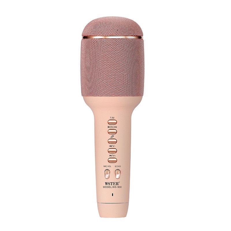 Loa dạy học kèm bluetooth không hát GrownTech không dây WS 900 cho ios androi bảo hành 24 tháng