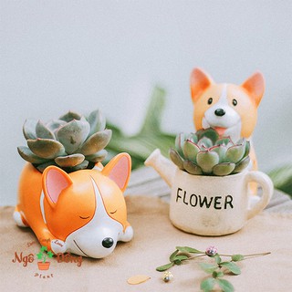 Combo 2 Chậu Trồng Cây Mô Hình Chú Chó Corgi Dễ Thương Sen Đá Xương Rồng Trang Trí Văn Phòng Để Bàn Làm Việc