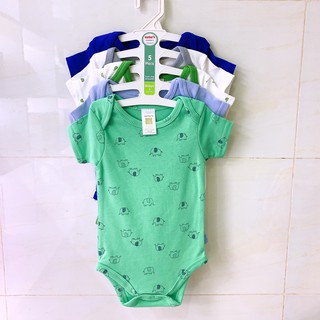 Body chip thái set 5 cái