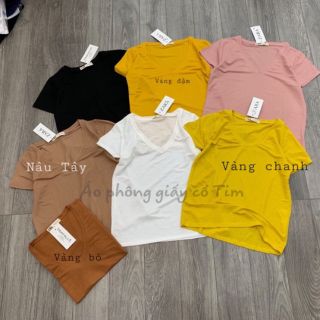 Combo áo phông giấy cổ tim