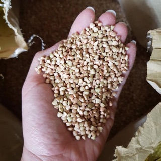 100GAM HẠT BA KHÍA LỘT VỎ: THỨC ĂN BỔ SUNG CHO HAMSTER