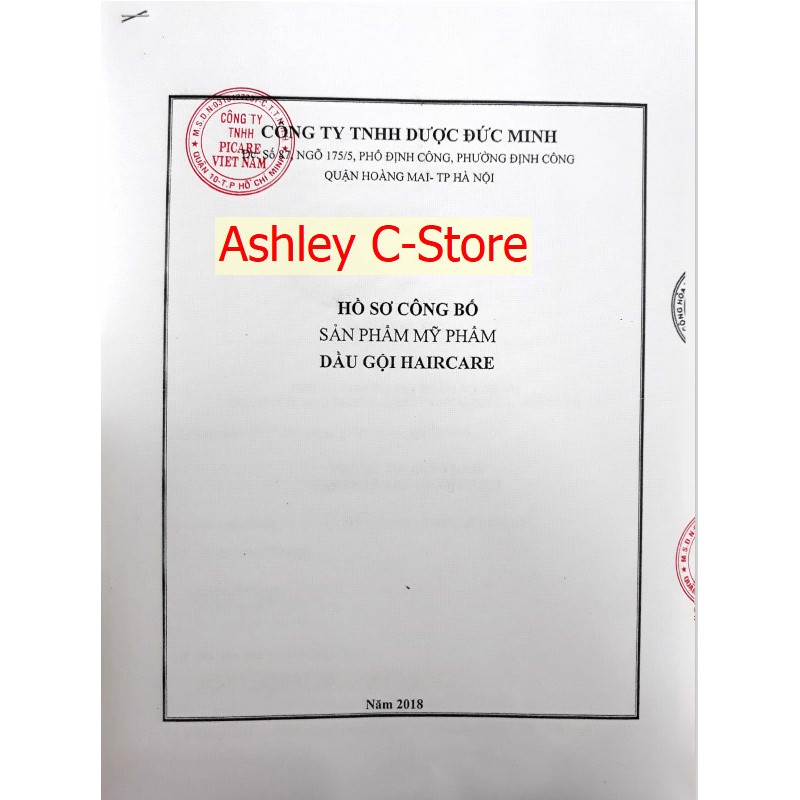 Dầu Gội Chống Gàu Và Nấm Da Đầu HAIRCARE  - Hàng Công Ty