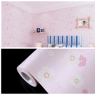 Decal giấy dán tường hoa mai hồng