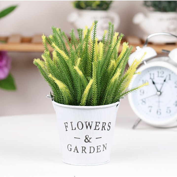 Xô thiếc và cỏ nhánh nhọn, hoa giả