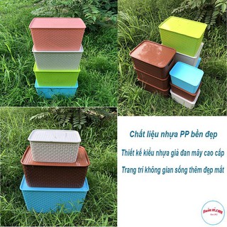 Giỏ đựng đồ Song Long 2574