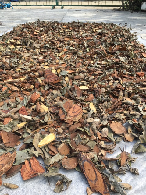 LÁ THUỐC TẮM NGƯỜI DAO ĐỎ SA PA (1KG) | BigBuy360 - bigbuy360.vn