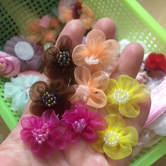 Hoa nhí nhuỵ cườm