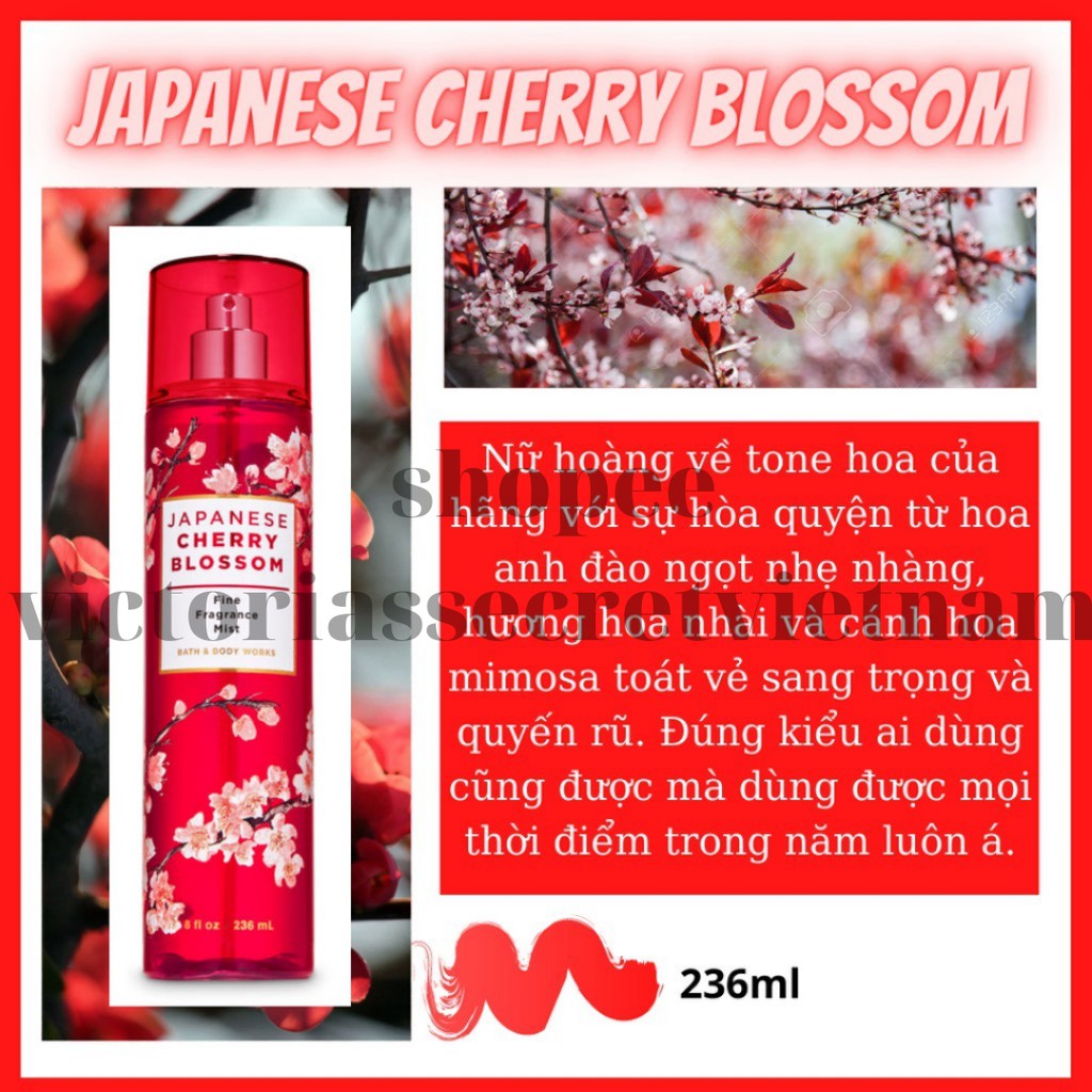 XỊT THƠM TOÀN THÂN BATH AND BODY WORKS BODY MIST - JAPANESE CHERRY BLOSSOM - 236ML