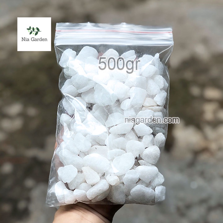 (500gr) Sỏi tự nhiên màu trắng size 1.5 - 2.5cm rải gốc chậu cây trang trí bể cá Nia Garden N6