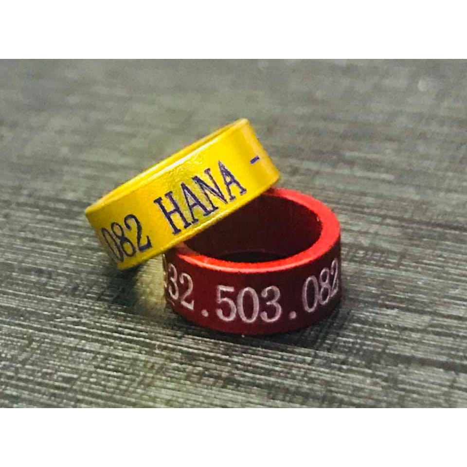 Vòng đeo chân cho chim cảnh có khắc thông tin