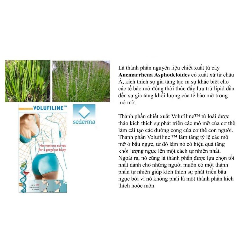 Hộp 10 miếng dán nở ngực, săn chắc, chống chảy xệ Rainbow L'affair Breast 36 Hydrogel Patch 90g | BigBuy360 - bigbuy360.vn