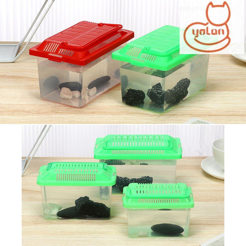 Hộp đựng cho ăn di động bằng nhựa trong suốt nuôi rùa/ chuột hamster