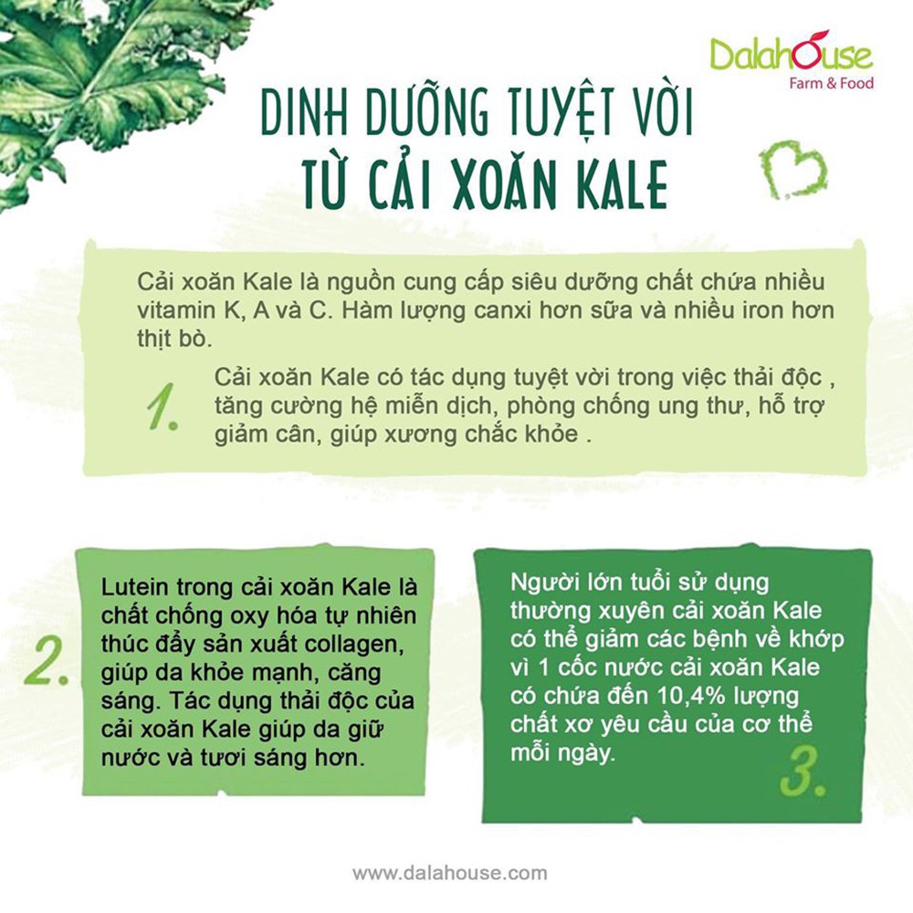 Bột cải xoăn Dalahouse - Bột cải Kale ăn dặm cho bé giúp phát triển trí não 50Gr