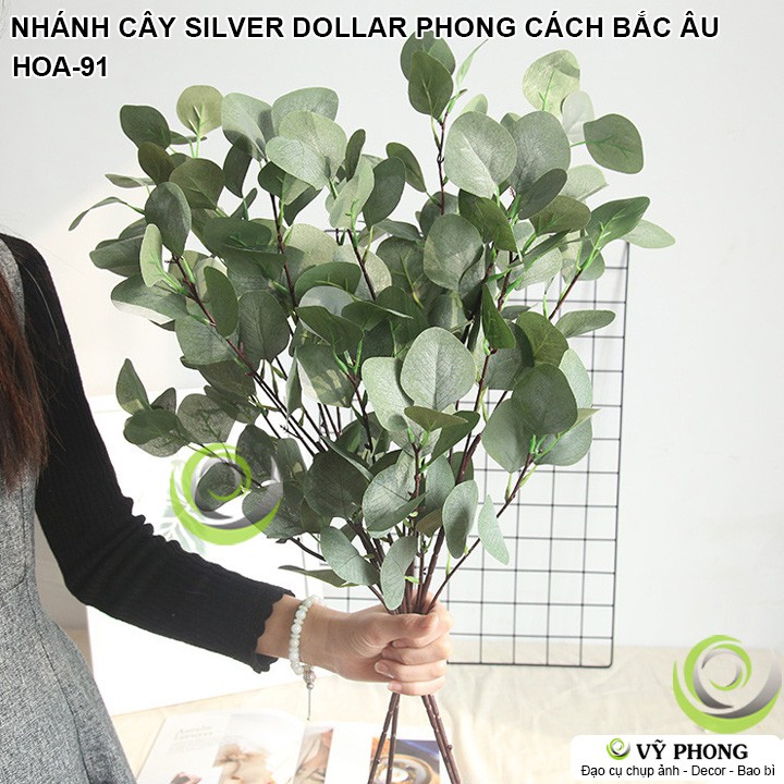 CÀNH LÁ CÂY SILVER DOLLAR PHONG CÁCH BẮC ÂU TRANG TRÍ ĐẠO CỤ CHỤP ẢNH SẢN PHẨM INS HOA-91