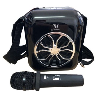 Loa hát karaoke A20 kèm mic không dây.