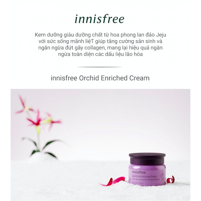 [Mã COSIF112 giảm 10% đơn 600K] Kem dưỡng ẩm ngăn ngừa lão hóa da innisfree Jeju Orchid Enriched Cream 50 mL | BigBuy360 - bigbuy360.vn