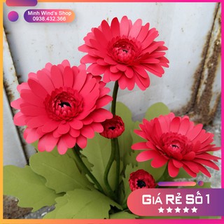 K129 - Khuôn Thép, Khuôn Cắt Hoa Đồng Tiền