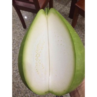 [Hạt Giống Đài Loan] Bầu Mie Đài Loan (Gió lẻ 5 hạt)