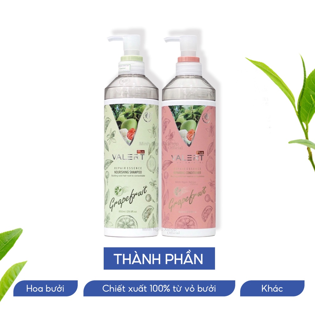 Combo Dầu gội bưởi - dầu xả bưởi Grapefruit 850ml chống rụng kích mọc tóc | Shopee Việt Nam