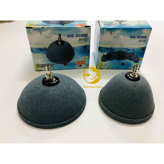 Quả sủi hình nón cho bể cá