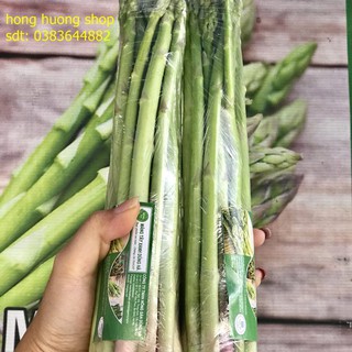 Hạt giống măng tây xanh