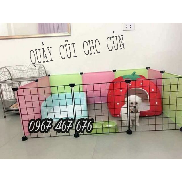 Quây cũi cho PET