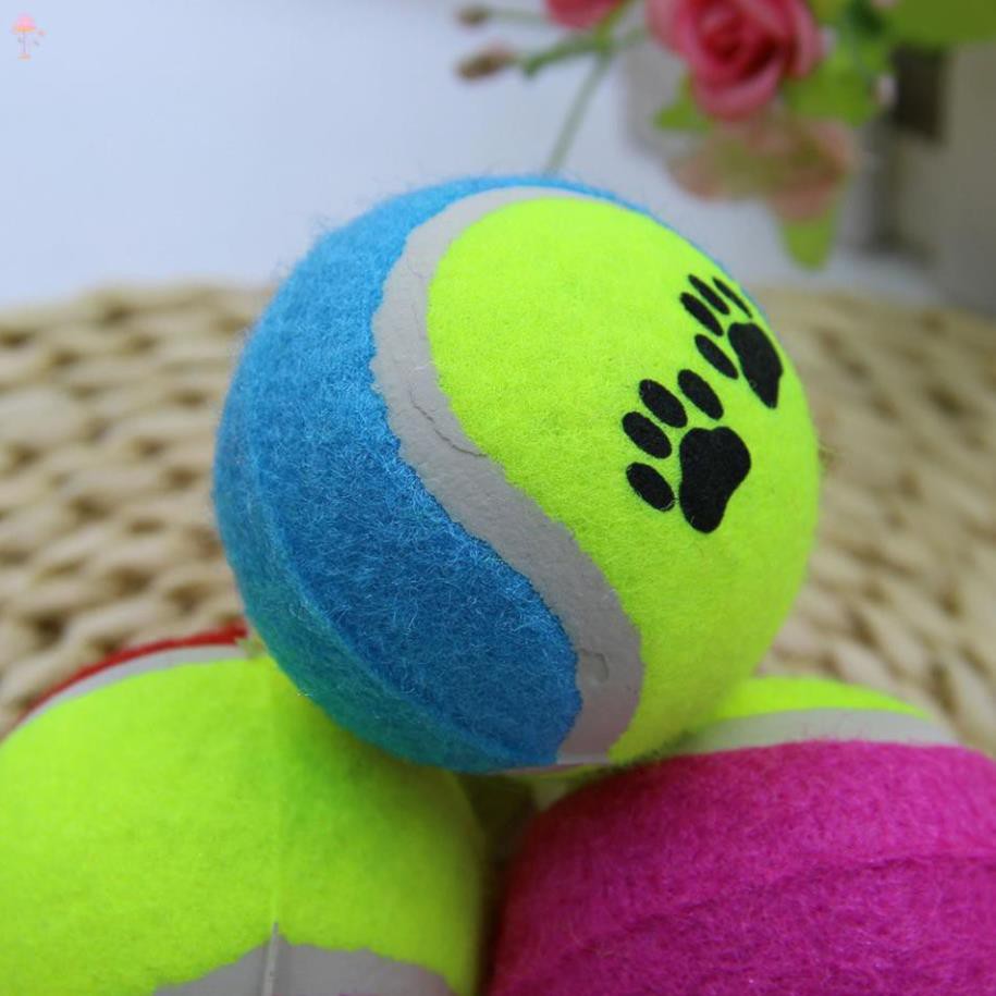 Bóng tennis cho chó mèo chất lượng cao dùng tập luyện vui chơi với thú cưng
