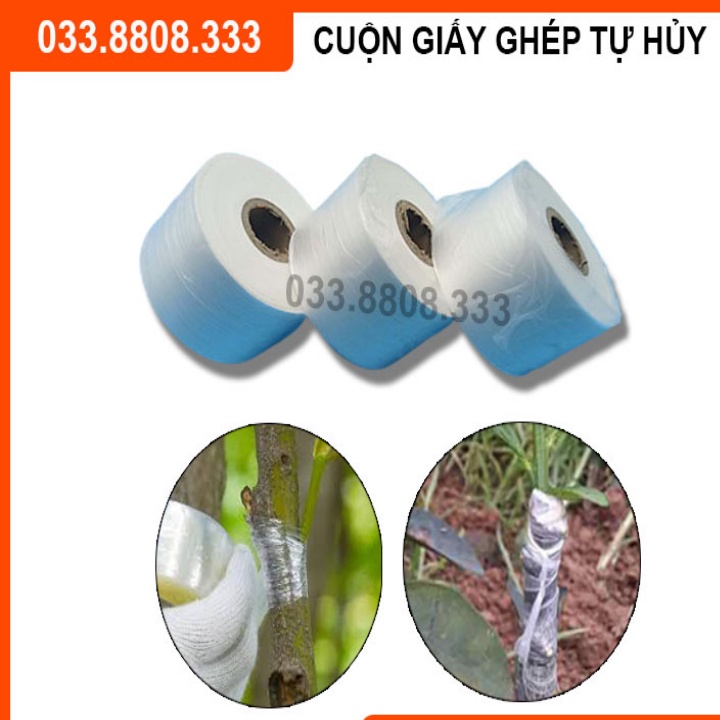 Băng Dính Ghép Cây Tự Hủy - Khổ 10cm -Siêu Rẻ