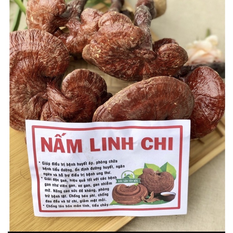 NẤM LINH CHI TÂY BẮC KHÔ ( ĐIÊN BIÊN)