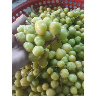 Chùm ruột rim xốc muối ớt