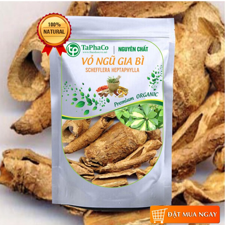 Vỏ Ngũ Gia Bì Sấy Khô (Thơm, Sạch)