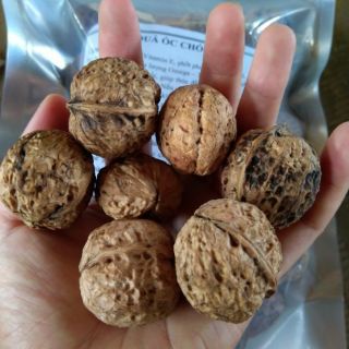 [KETO]NHÂN ÓC CHÓ - 500G