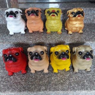 Cún đất tiết kiệm nhiều màu sắc