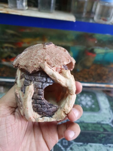 CẢNH NHÀ TRANG TRÍ HỒ CÁ NON BỘ CAO 8CM