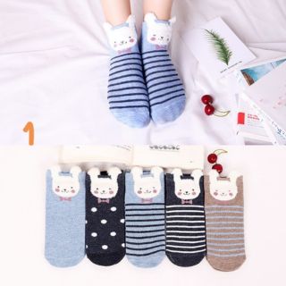 Set 5 đôi tất nữ cổ vừa (7 mẫu lựa chọn)