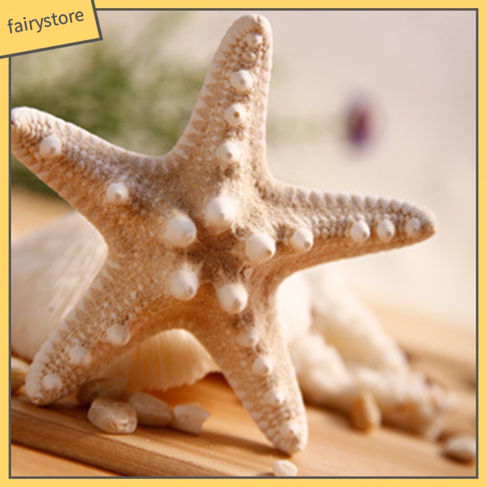 Kẹp Tóc Càng Cua Hình Sao Biển Tự Nhiên Cho Nữ