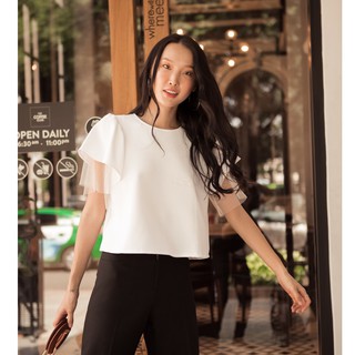 ÁO TAY NGẮN PHỐI SHEER - A1087