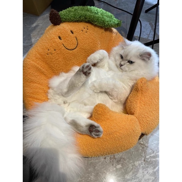 Đệm cho chó mèo, ổ nằm chó mèo mùa đông ấm áp hình trái cam BECHON