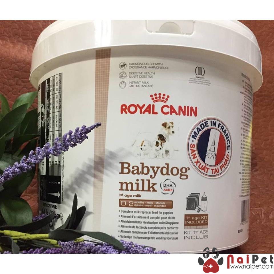 Sữa Bột Dinh Dưỡng Cho Chó Con Babydog Milk Royal Canin 400g Và 2kg