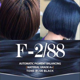 Blue black F - 2/88 Màu nhuộm cân bằng sắc tố tự động sasaba 450ml