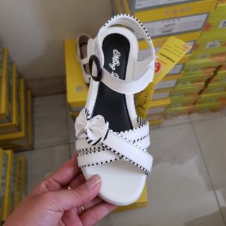 Combo sỉ
