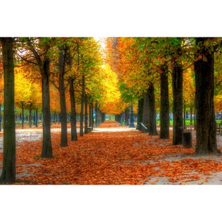 Tranh dán tường 3D phong cảnh 60*90