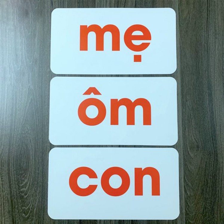 Combo Bộ Thẻ Học Đọc + Thế Giới Xung Quanh Nâng Cao Chuẩn Flashcard Glenn Doman